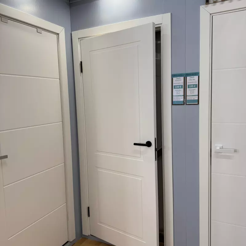 Durvis Status (TESLINE) Balta emalja RAL 9003