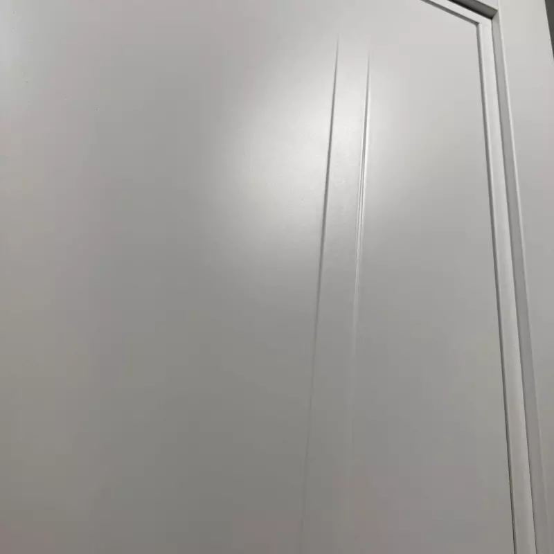 Durvis FARGO Krāsotas durvis