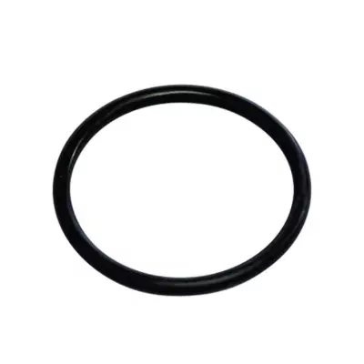 Ūdens filtru gumijas blīve NW500/650/800