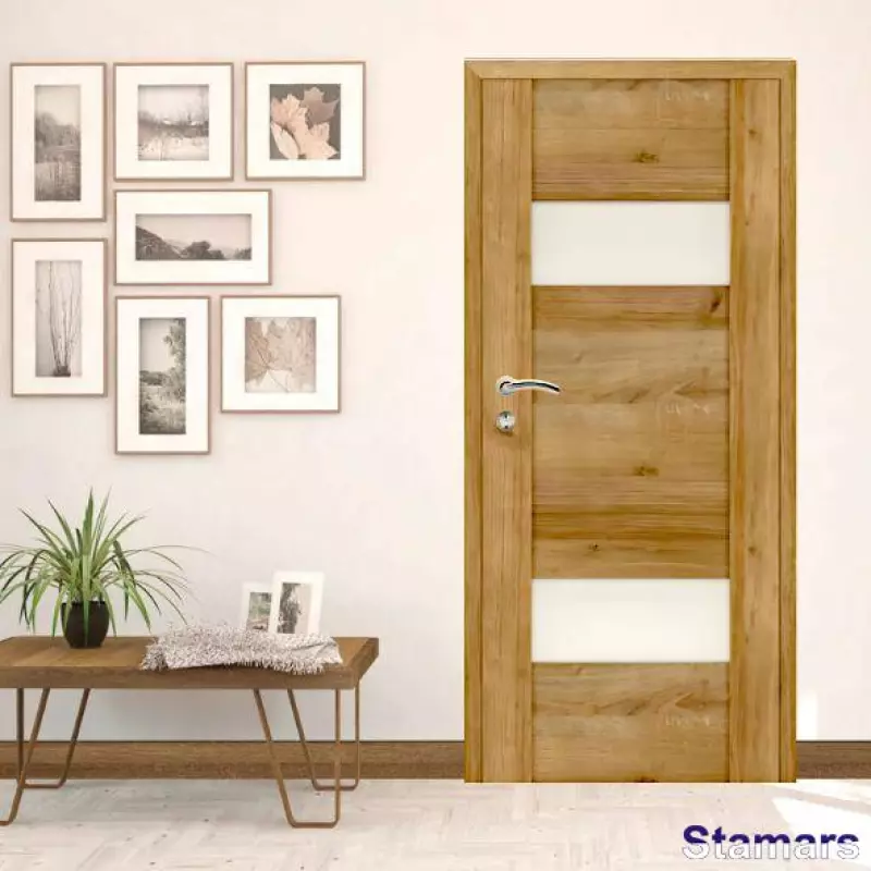 Durvis Trivento 02 (PW-02) Ozols rivjera EKOfinierējums