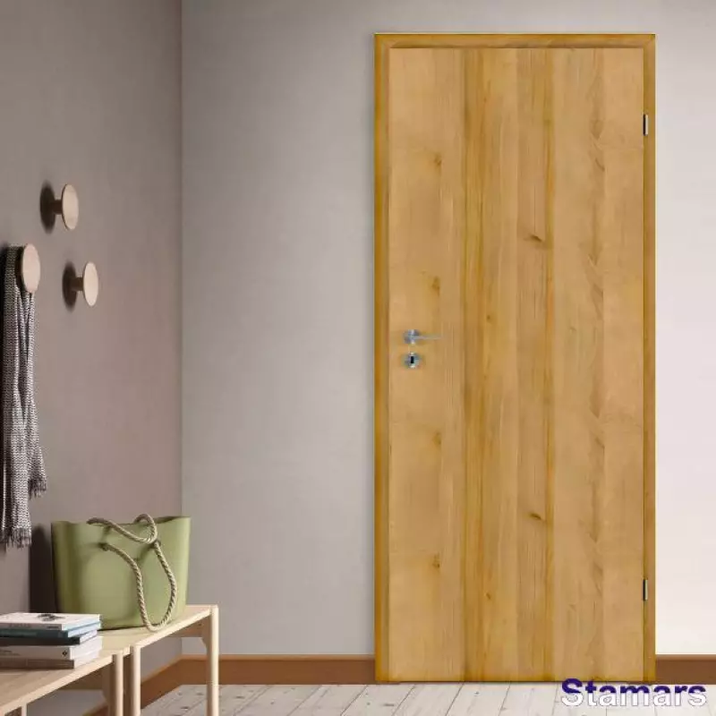 Durvis Basic 01 Ozols rivjera EKOfinierējums